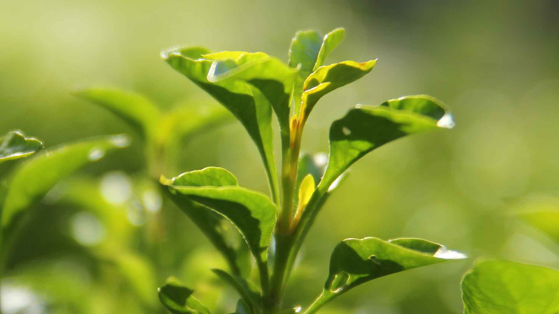 Nous sommes là pour vous aider!
